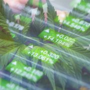 3 Marijuana Stocks To Buy In June 2022?