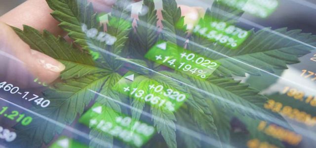 3 Marijuana Stocks To Buy In June 2022?