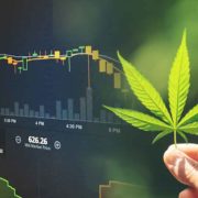 3 Top Marijuana Stocks To Watch Half Way Through June