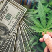 4 Marijuana Stocks To Watch 2nd Week Of June