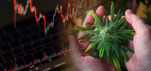 Best Ancillary Marijuana Stocks While The Market Is Down? 3 To Watch Long Term