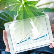 Best Canadian Cannabis Stocks To Buy? 3 Penny Stocks To Watch Before July