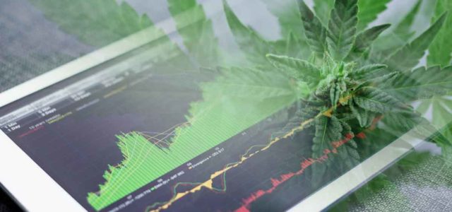 Best Marijuana Stocks For June 2022
