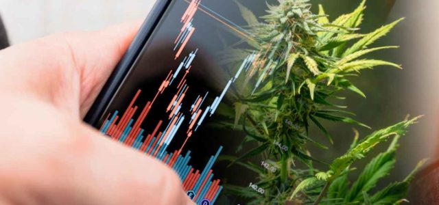 Best Marijuana Stocks To Buy? 3 US MSOs To Watch In June