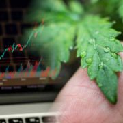 Best US Marijuana Stocks To Buy Right Now? 3 For Your July Watchlist