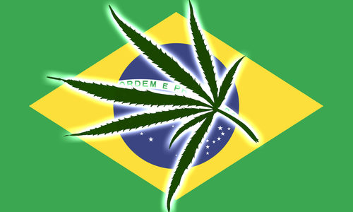 Brazil court approves home grown cannabis for medical use