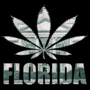 Investor, advocates sue Florida medical marijuana regulator