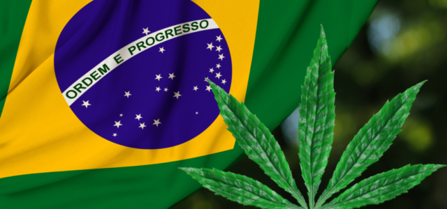 Medical Cultivation OK’d in Brazil