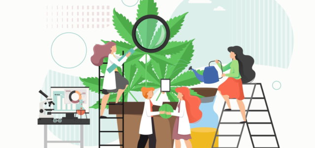 New Washington Regulations Require Cannabis Pesticide Testing