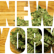 New York’s CCB Releases Proposed Cannabis Regulations