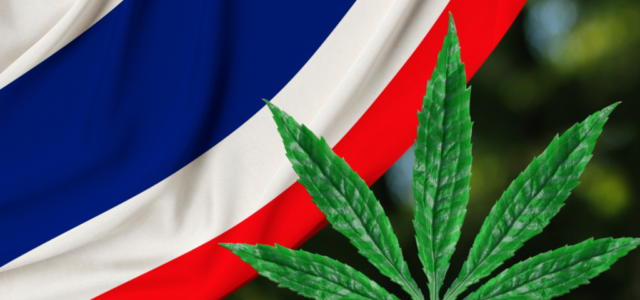 Thailand Decriminalizes Cannabis, But Not Really