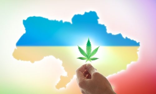 The war is speeding up Ukraine’s efforts to legalize medical cannabis