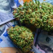 These 2 Marijuana Stocks Could Be Something To Watch This Week