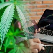 Top Cannabis Penny Stocks Under $2 Right Now