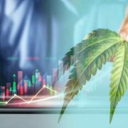 Top Marijuana Penny Stocks To Buy In Q3 2022? 3 To Watch In July