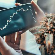 Top Marijuana Stocks To Buy Before The End of The Week?