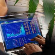 Top Marijuana Stocks To Watch At The End Of The Week