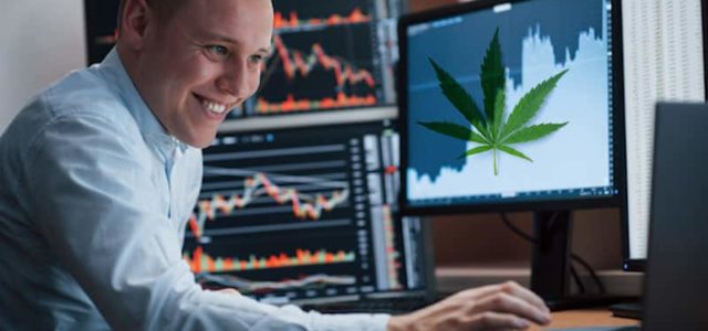 Top Marijuana Stocks To Watch Before Next Week Begins