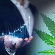 Top Marijuana Stocks To Watch Before The Start Of Next Week