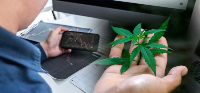 Top Pot Stocks To Buy Now? 3 For Your List In July 2022