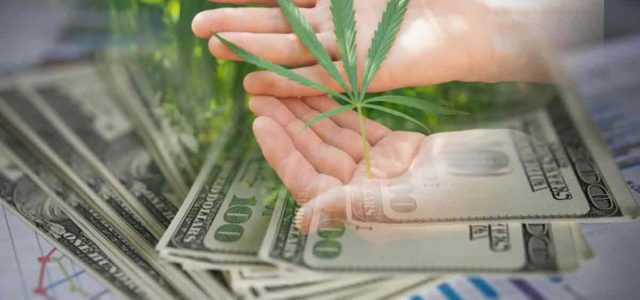 2 Marijuana Stocks To Buy Heading Into August?