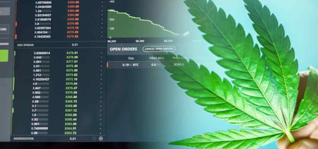 3 Marijuana Stocks For Your July Watchlist