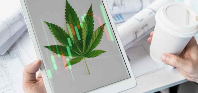 3 Marijuana Stocks To Buy First Week Of July?