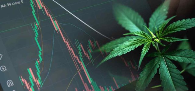 3 Marijuana Stocks To Keep On Watch This Month