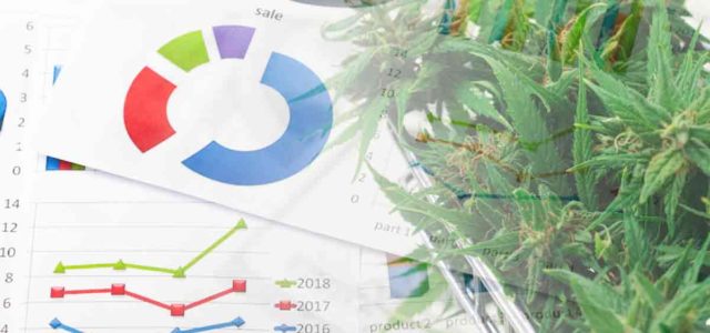 3 Marijuana Stocks To Keep On Your Radar Come August