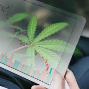 3 Top Marijuana Stocks That Could Be Worth Your Time
