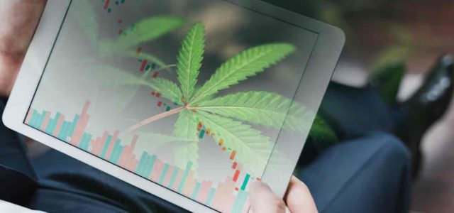 3 Top Marijuana Stocks That Could Be Worth Your Time