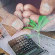 Are Penny Stocks On Your Radar Right Now? 2 Marijuana Stocks For Active Traders