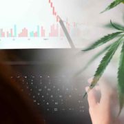 Best Ancillary Marijuana Stocks To Watch Before August