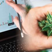 Best Canadian Cannabis Stocks For July 2022