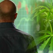 Best Canadian Marijuana Stocks In July? 3 Delivering Gains This Month
