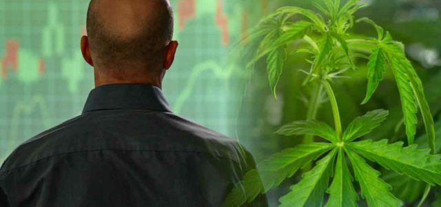 Best Canadian Marijuana Stocks In July? 3 Delivering Gains This Month