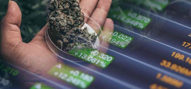 Best Canadian Marijuana Stocks To Buy Right Now? 3 For Your August List