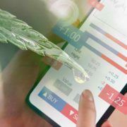 Best Cannabis Stocks To Watch July 4th Right Now
