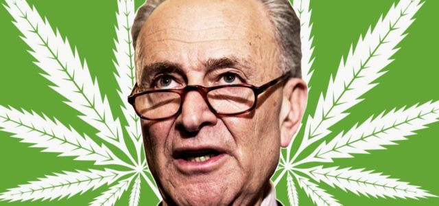 Chuck Schumer Has Finally Revealed His Long Awaited Marijuana Reform Bill