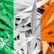 High Court Challenge Could See Ireland Lift Blanket Ban On CBD Products By October