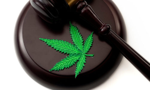 Lawsuit over cannabis classification may proceed, judge rules