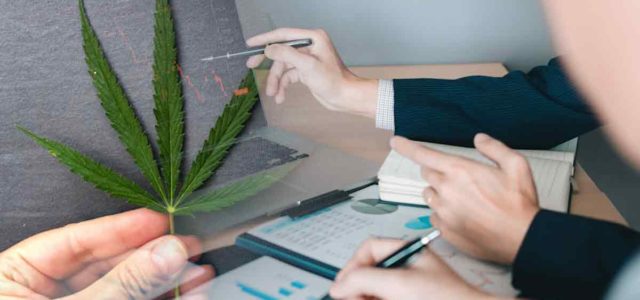 Marijuana Stocks To Buy This Week? 2 Ancillary Pot Stocks For Your July List