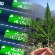 Top 2 Ancillary Marijuana Stocks To Watch Before August