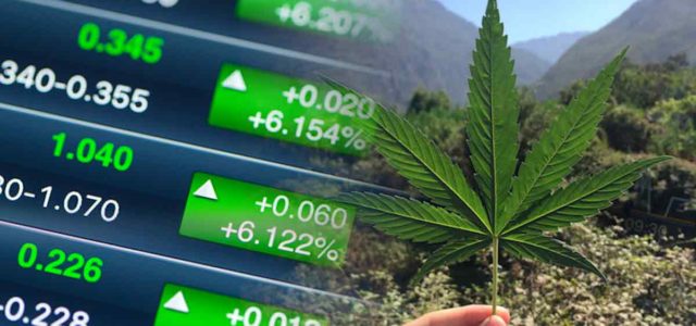 Top 2 Ancillary Marijuana Stocks To Watch Before August