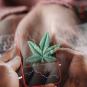 Top Canadian Cannabis Stocks To Watch Right Now