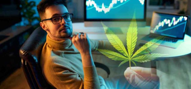 Top Cannabis Stocks To Buy? 3 To Watch As Sector Experiences Momentum