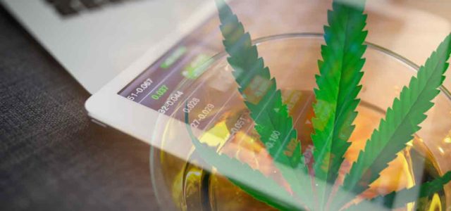 Top Marijuana Penny Stocks For Your Mid-July Watchlist