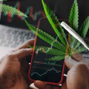 Top Marijuana Stocks Delivering Gains Before August 2022