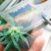 Top Marijuana Stocks To Buy In August? 2 Ancillary Plays To Watch Now