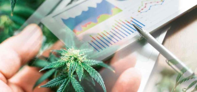 Top Marijuana Stocks To Buy In August? 2 Ancillary Plays To Watch Now